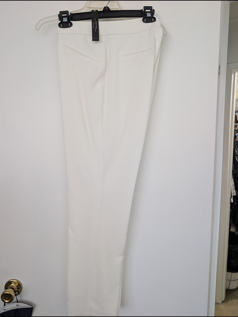 NWT - Tahari Arthur S. Levine Ivory Tailored Pants
